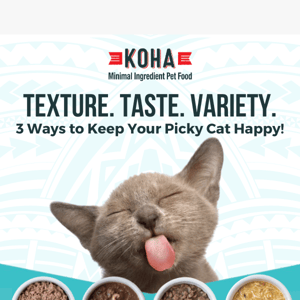 3 Ways to Keep Your Picky Cat Happy 😺