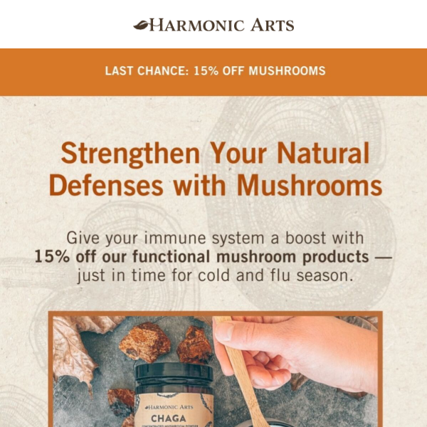 Nourish your immune system with mushrooms