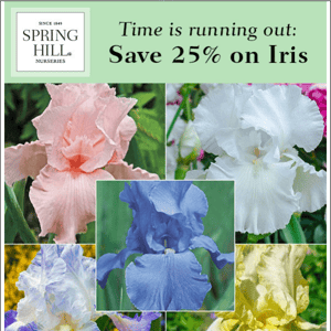 Our best iris offer of the season...