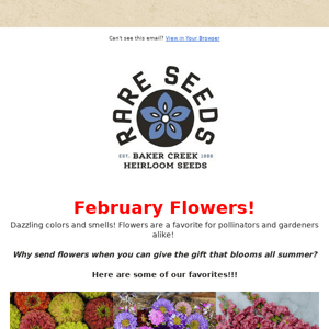 Flowers For February! 🌻❤️