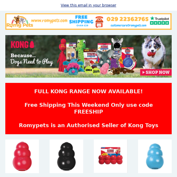 Grab a Kong on Free Shipping Weekend!