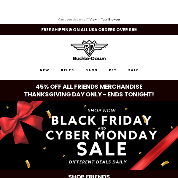 THANKSGIVING SALE: FRIENDS 45% OFF