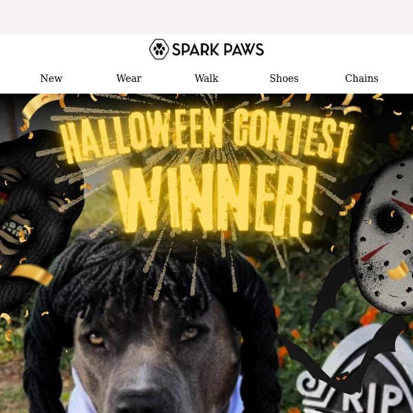 Halloween Costume Contest Winners! 🏆