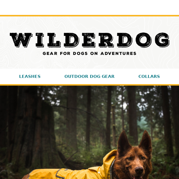 Wilderdog  Gear for Dogs on Adventures