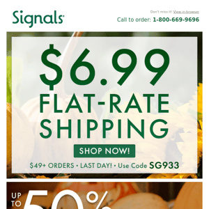 Flat Ship Ends! (+ Up to 50% Off Halloween)