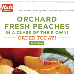 🍑 Orchard Fresh Peaches are Available NOW - Order Today! 🍑