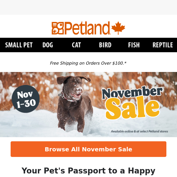 Unleash Savings for Your Pets All Month Long