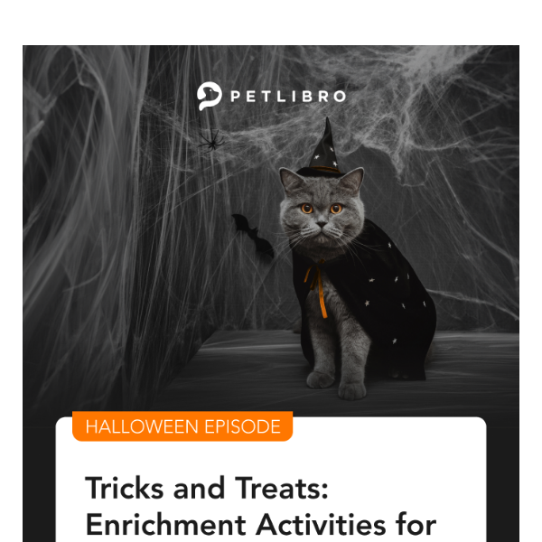 New Blog Alert: Halloween Activities with Your Cat