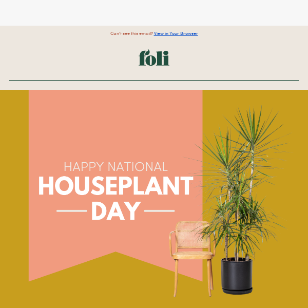 Celebrate National Houseplant Day with us! 🌱