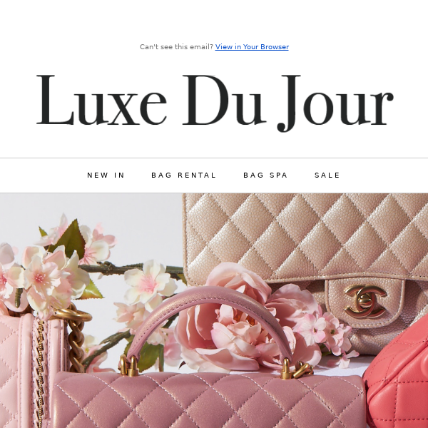 luxe bag rental