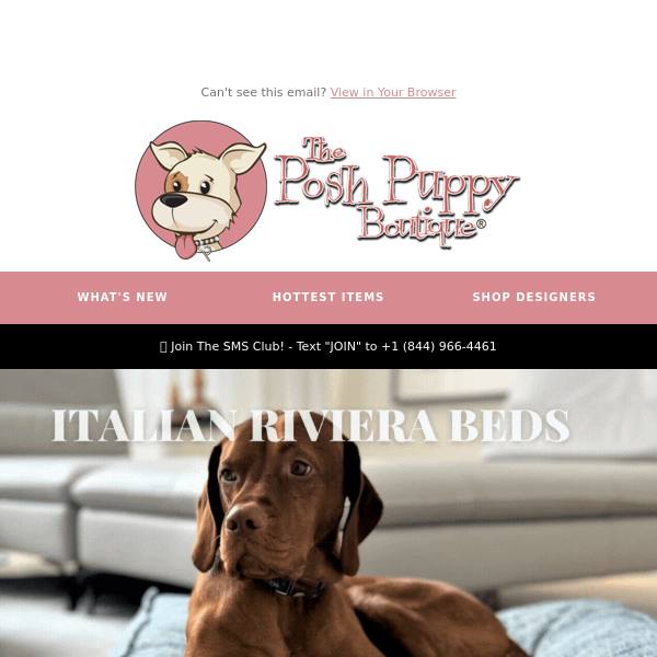 Boston Red Sox Alternate Style Dog Jersey – Posh Puppy Boutique