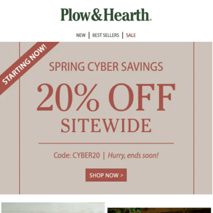 Spring Cyber Savings Have Arrived!