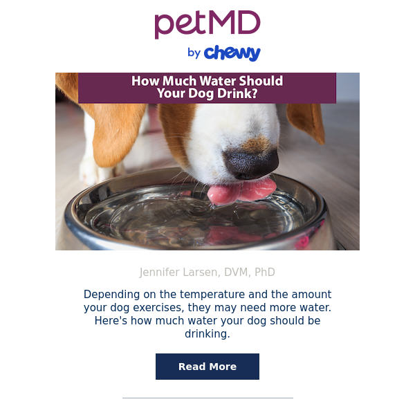 How Much Water Should Your Dog Drink?