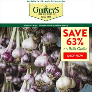 Buy garlic in bulk and SAVE