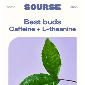 How L-theanine and caffeine work together