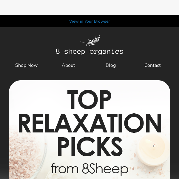 Top Relaxation Picks from 8Sheep 🌿✨