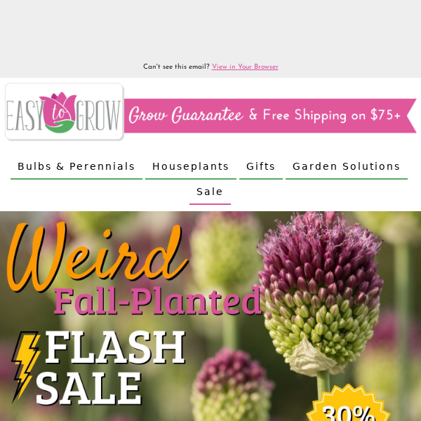 Rare Plant Flash Sale | 30% Off Hidden Gems 💎