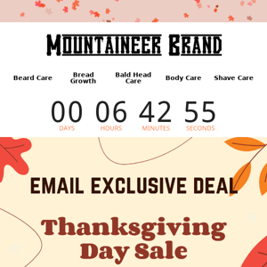 Thanksgiving Day Sale Count Down. Thursday at 4pm