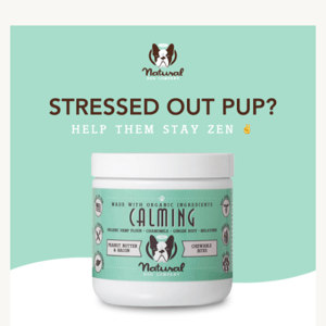 Stressed out pup? Help them stay calm with this ✌️
