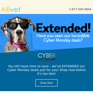 Cyber Monday Deals Extended!