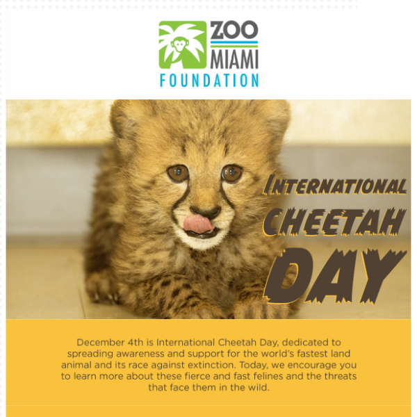 Honor International Cheetah Day
