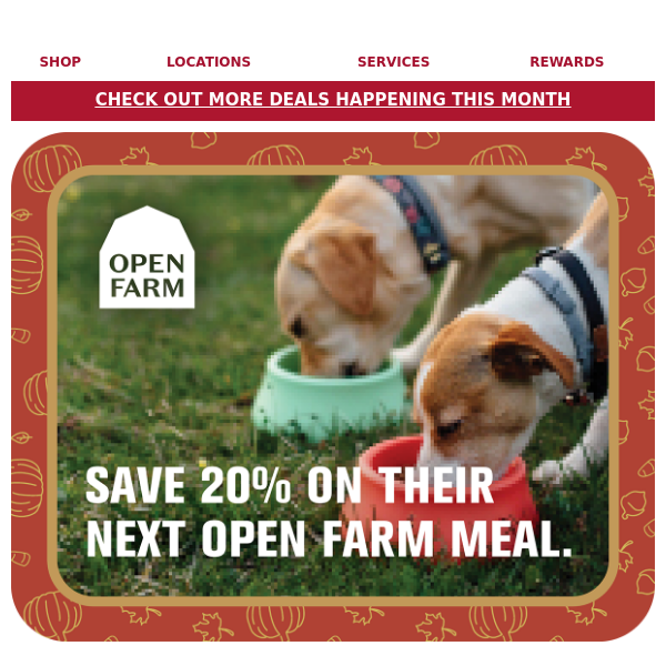 Don’t miss 20% off all Open Farm