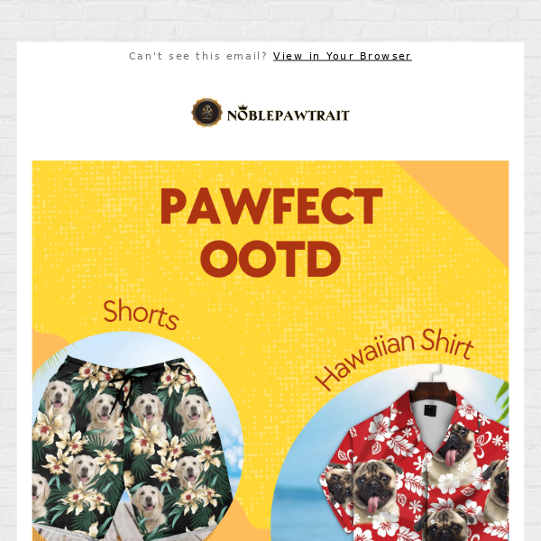 Pawfect OOTD For Pet Lovers😻