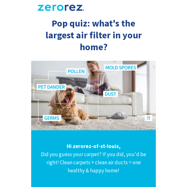 Allergies kicking in? Zerorez can help!