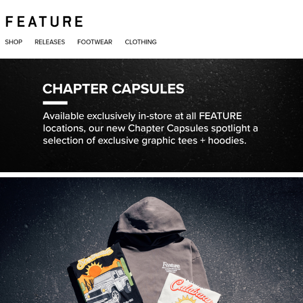 FEATURE Chapter Capsules