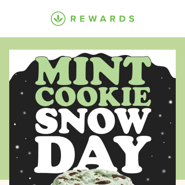 Don't miss out on the NEW Mint Cookie Snow Day!