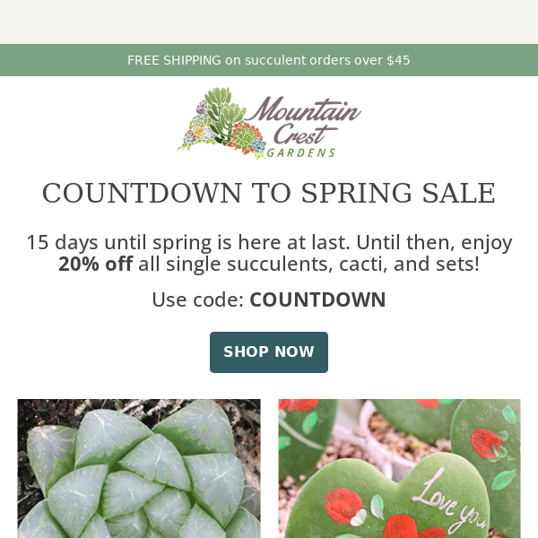 Countdown to Spring Succulent Sale! 🌵