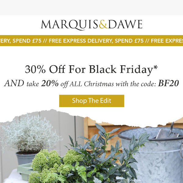 30% Off In The Black Friday Edit