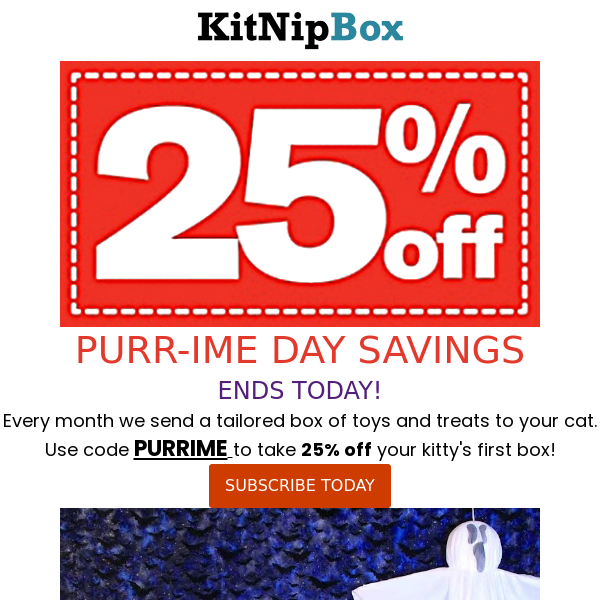 ICYMI: 25% OFF PURR-IME DAY SAVINGS💸