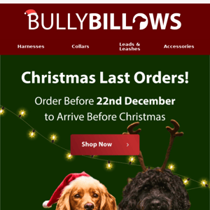 Christmas Last Orders.. ⏰🎄