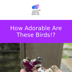 Whoa! Checkout These Adorable Resin Birds!
