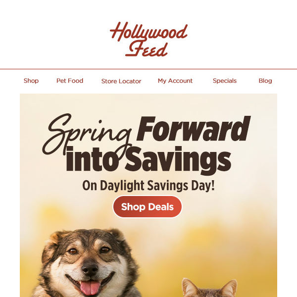 Spring Forward into Savings on Daylight Savings Day! 🌷