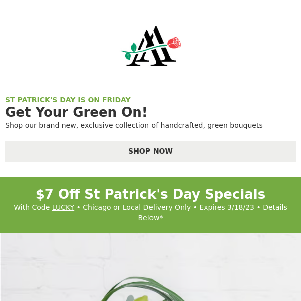 You're in Luck: Our St. Patrick's Day Special is On Sale 💚🌈