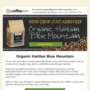 Organic Haitian Blue Mountain - New Crop Just Arrived!