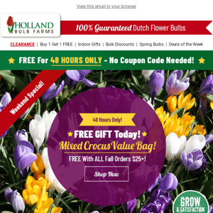 FREE CROCUS 😲 With ALL Fall Orders $25+!