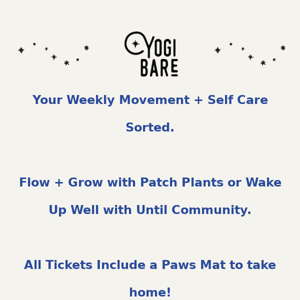 Yogi Bare x Patch Plants and Until Community!🌿🍂🍃🌿