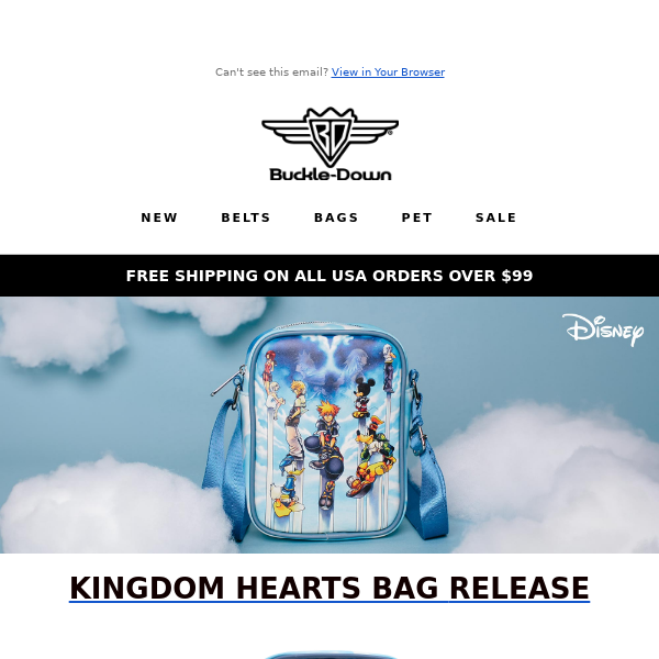 New Kingdom Hearts Bag