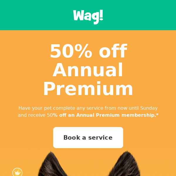 50% off Annual Premium