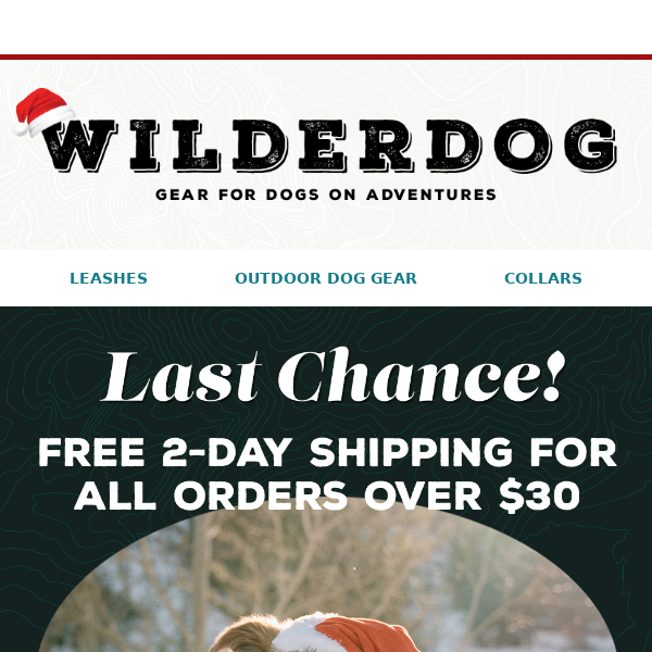 FREE 2-DAY SHIPPING for all orders over $30