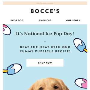 Did somebody say national ice pop day? 🐶