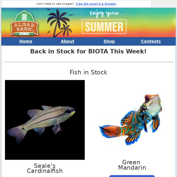 Fish, Coral, and Inverts Available Now!