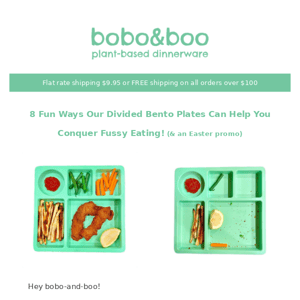 8 Fun Ways Our Divided Bento Plates Can Help You Conquer Fussy Eating! 🌟
