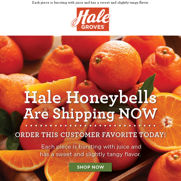 🍊 Hale Honeybells Are Shipping NOW - Order this Customer Favorite Today! -  Hale Groves