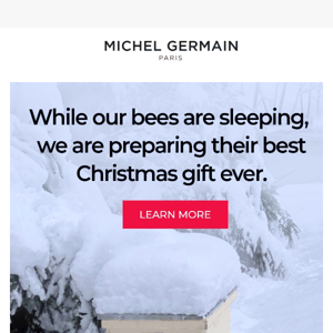 Save Our Bees for Giving Tuesday