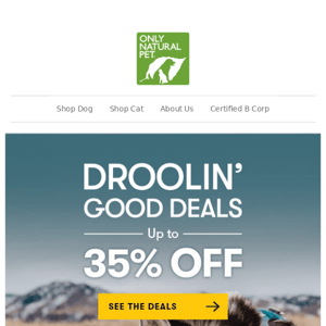 Spring Into Savings 💸 Droolin' Good Deals Are Here! 