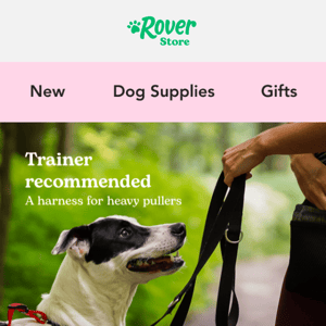 This no-pull harness is trainer recommended
